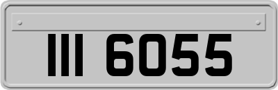 III6055