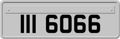 III6066