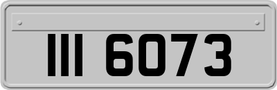 III6073