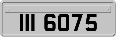 III6075