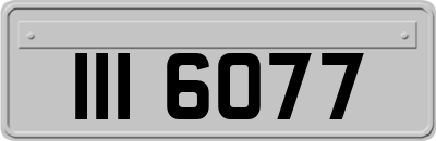 III6077