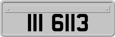 III6113