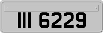 III6229