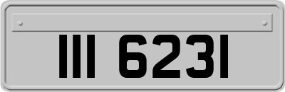 III6231