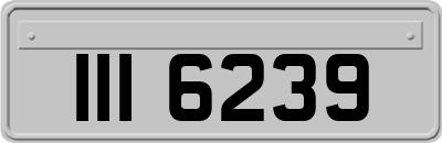 III6239