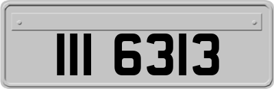 III6313