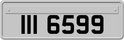 III6599