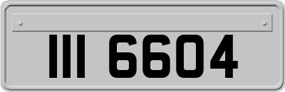 III6604