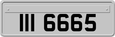 III6665