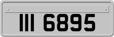 III6895