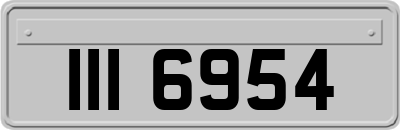 III6954