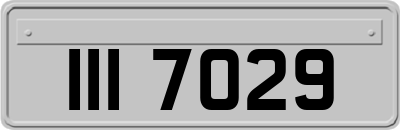 III7029