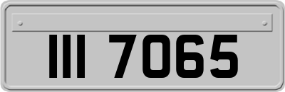 III7065