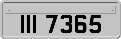 III7365