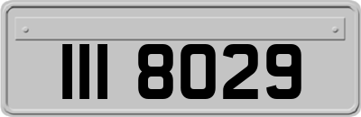 III8029