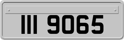 III9065
