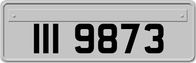 III9873