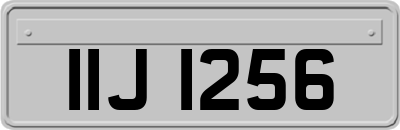 IIJ1256