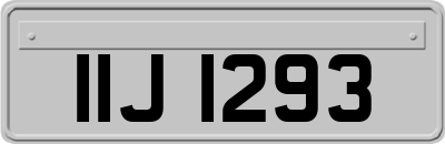 IIJ1293
