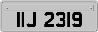 IIJ2319
