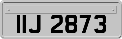 IIJ2873