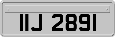 IIJ2891