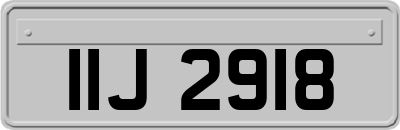 IIJ2918
