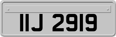 IIJ2919