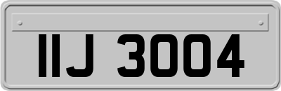 IIJ3004