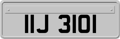 IIJ3101