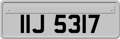 IIJ5317