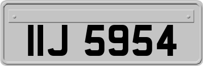 IIJ5954