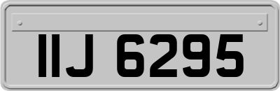 IIJ6295