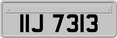 IIJ7313