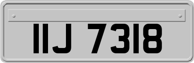 IIJ7318