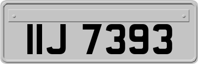 IIJ7393