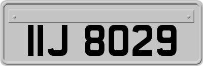 IIJ8029
