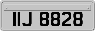 IIJ8828
