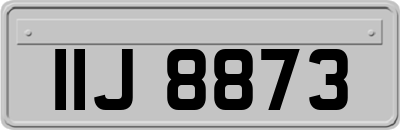 IIJ8873