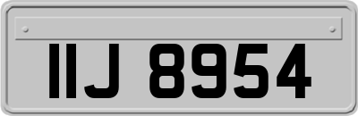 IIJ8954