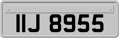 IIJ8955