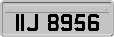IIJ8956