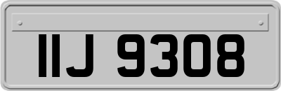 IIJ9308