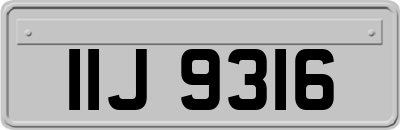 IIJ9316