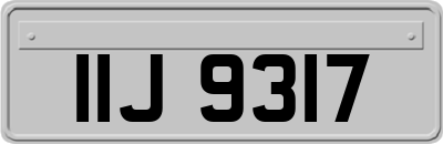 IIJ9317