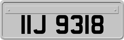 IIJ9318