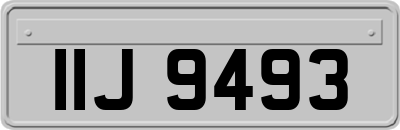 IIJ9493