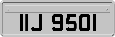 IIJ9501