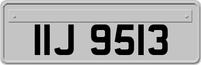IIJ9513