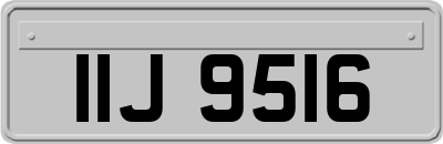 IIJ9516